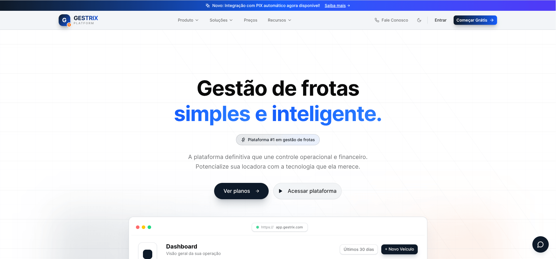 Gestrix, versão para computador